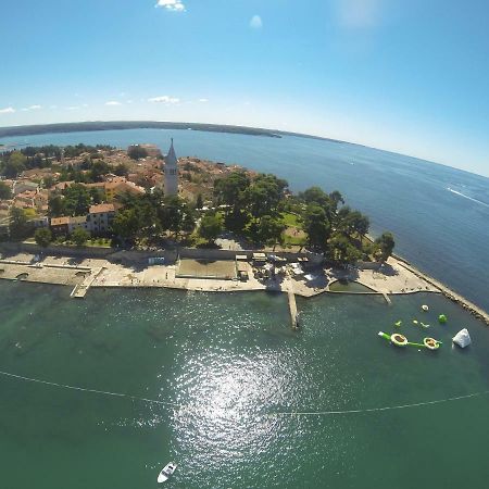 Apartma Jelka Novigrad Istria 외부 사진