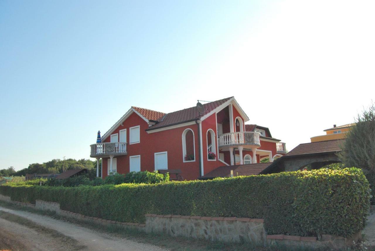 Apartma Jelka Novigrad Istria 외부 사진