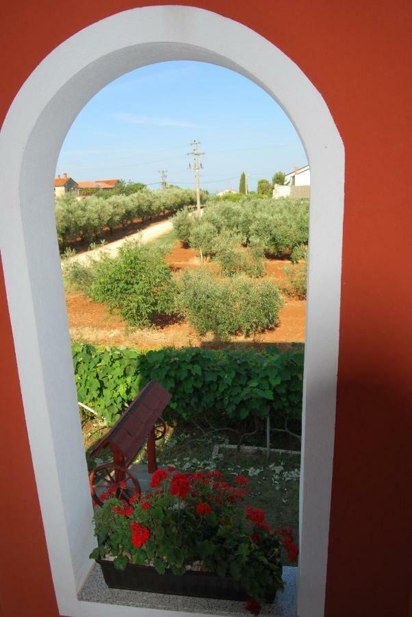 Apartma Jelka Novigrad Istria 외부 사진