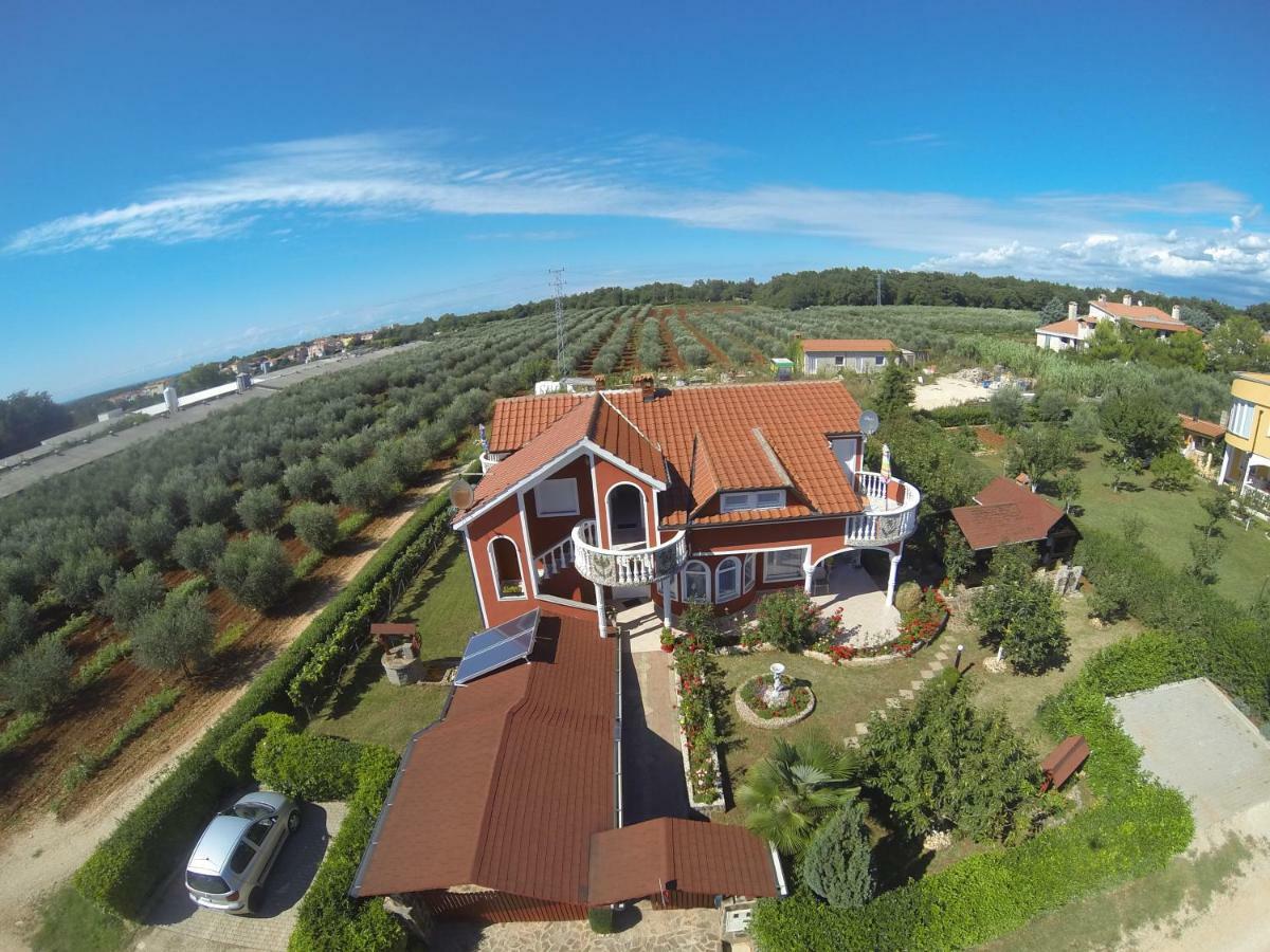 Apartma Jelka Novigrad Istria 외부 사진