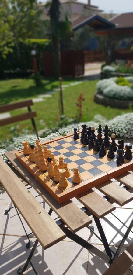 Apartma Jelka Novigrad Istria 외부 사진