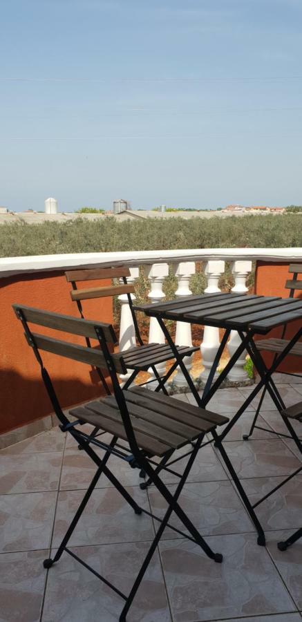 Apartma Jelka Novigrad Istria 외부 사진