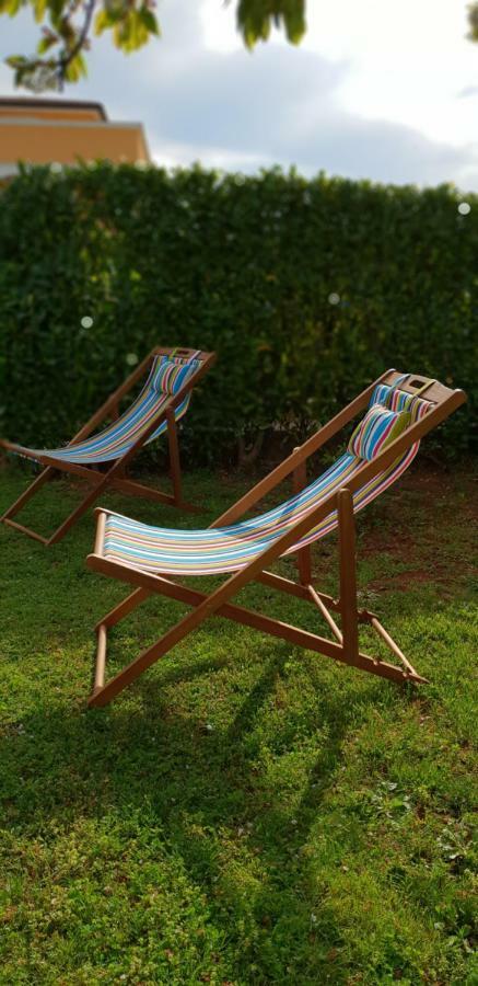 Apartma Jelka Novigrad Istria 외부 사진