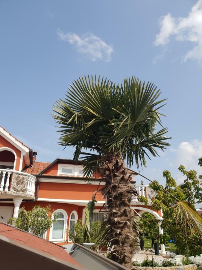 Apartma Jelka Novigrad Istria 외부 사진