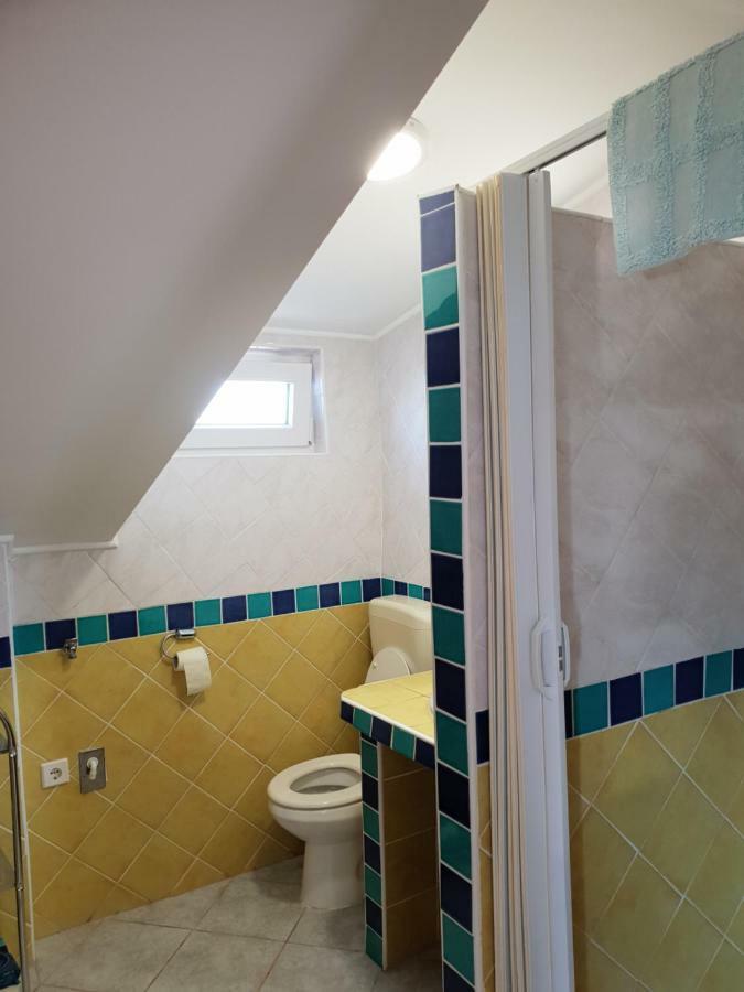 Apartma Jelka Novigrad Istria 외부 사진